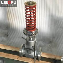 自力式压力91视频网页版：科技引领，压力控制新篇章